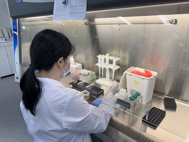 전남도보건환경연구원은 최근 전남지역에서 쯔쯔가무시증 환자가 지속해서 발생하고 있어 야외 활동 시 진드기 기피제 사용, 귀가 후 즉시 샤워 등 각별한 주의가 필요하다고 14일 밝혔다. 사진은 쯔쯔가무시균 검사 모습.