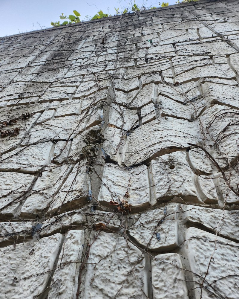 [대구=뉴시스] 대구 달서구 도원동 523번지에 위치한 사유지 L형 옹벽 배부름 현상. (사진=대구 달서구의회 제공) 2025.12.15. photo@newsis.com *재판매 및 DB 금지