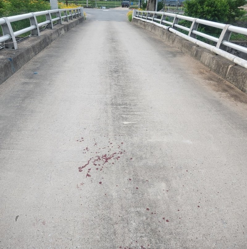 [단양=뉴시스] 사건이 발생한 현장 (사진= 독자 제공) photo@newsis.com *재판매 및 DB 금지