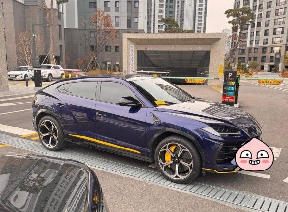 A 씨 차량. (인터넷 커뮤니티 갈무리) 2025.12.2/뉴스1