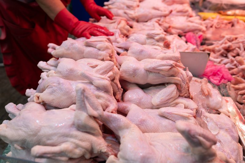 서울 시내의 한 전통시장에 닭고기가 진열돼 있다. 2025.8.10/뉴스1 ⓒ News1 이승배 기자