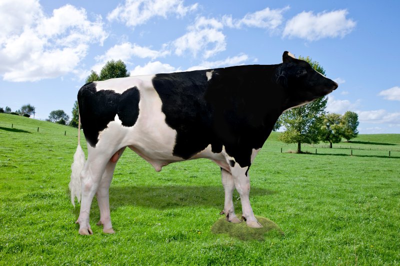 (출처=뉴시스/NEWSIS)