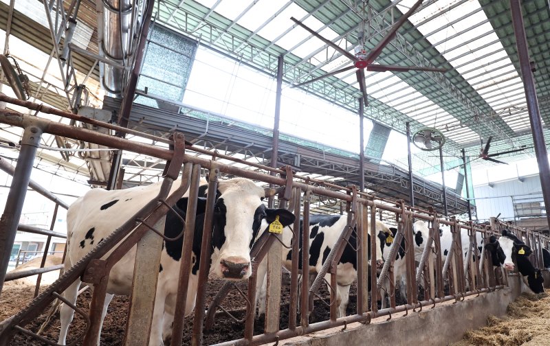 (사진은 기사 내용과 무관함) / 뉴스1 ⓒ News1