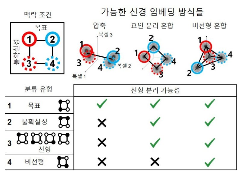 전두엽의 목표와 환경의 불확실성 정보 표상의 위상구조(KAIST 제공) /뉴스1