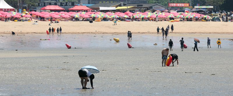 인천 중구 을왕리 해수욕장 바닥이 간조시각을 맞아 훤하게 드러나 있다. 2025.7.27/뉴스1 ⓒ News1 김진환 기자