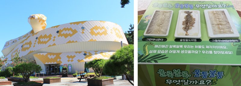 [함평=뉴시스] 전남 함평군은 함평양서파충류 생태공원에서 '뱀 허물 만지기 체험 프로그램'을 연중 상시 운영하고 있다고 14일 밝혔다. (사진=함평군 제공) 2025.12.14. photo@newsis.com *재판매 및 DB 금지