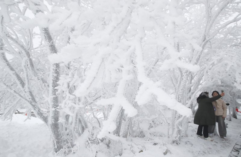 제주 산지에 내려진 대설특보가 해제된 25일 오전 한라산국립공원 1100고지휴게소에서 관광객들이 설경을 감상하고 있다. 2024.1.25/뉴스1 ⓒ News1 오현지 기자