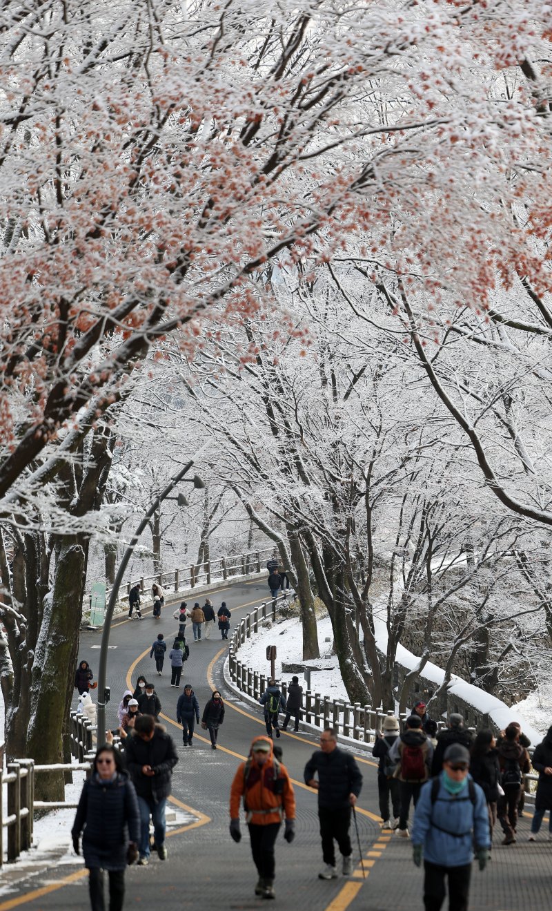 [서울=뉴시스] 김선웅 기자 = 14일 서울 남산공원 나무에 밤사이 내린 눈이 쌓여 있다. 2025.12.14. mangusta@newsis.com