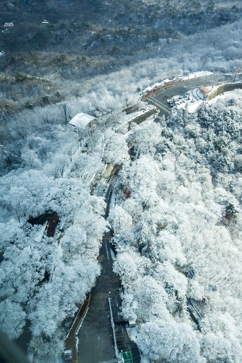 [서울=뉴시스] 김선웅 기자 = 14일 서울 남산공원 나무에 밤사이 내린 눈이 쌓여 있다. 2025.12.14. mangusta@newsis.com
