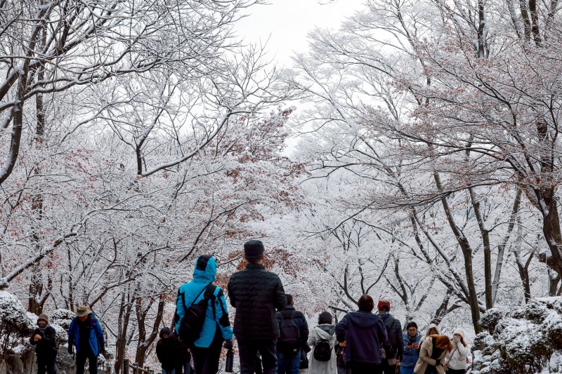 지난 밤 내린 눈이 쌓인 14일 서울 용산구 남산공원을 찾은 시민들이 겨울풍경을 만끽하고 있다. 2025.12.14/뉴스1 ⓒ News1 이호윤 기자