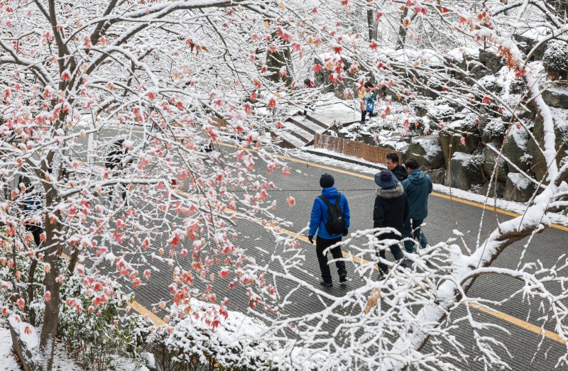지난 밤 내린 눈이 쌓인 14일 서울 용산구 남산공원을 찾은 시민들이 겨울풍경을 만끽하고 있다. 2025.12.14/뉴스1 ⓒ News1 이호윤 기자