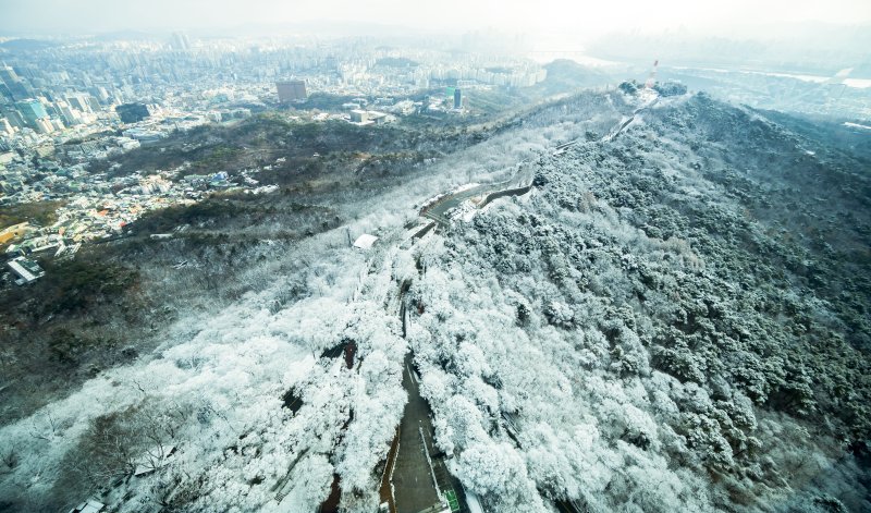 [서울=뉴시스] 김선웅 기자 = 14일 서울 남산공원 나무에 밤사이 내린 눈이 쌓여 있다. 2025.12.14. mangusta@newsis.com
