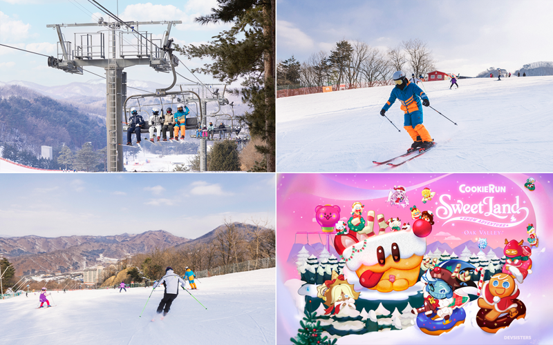 강원도 원주 오크밸리 스키장. HDC리조트 제공