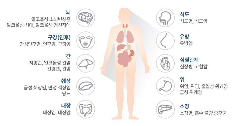 장기별 알코올 영향 (출처=연합뉴스)