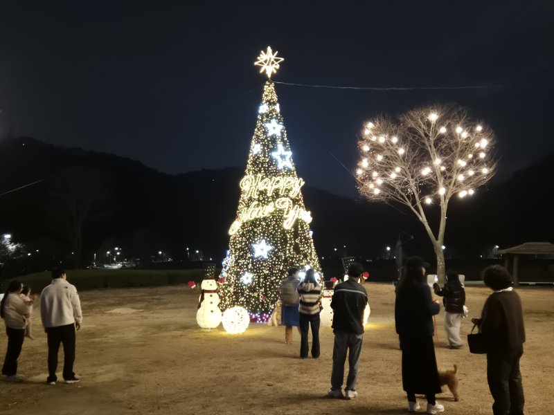 20일 울산 중구 태화강 국가정원에서 시민들이 크리스마스 트리를 배경으로 사진을 찍고 있다. 2025.12.20/뉴스1ⓒ 뉴스1 박정현 기자