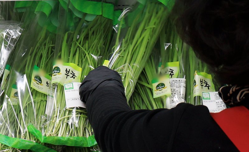 서울의 한 마트에서 직원이 부추를 진열하는 모습. 2025.12.7/뉴스1 ⓒ News1 이호윤 기자