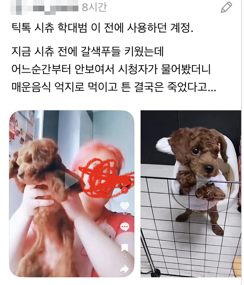 강아지 얼굴에 담배연기 내뿜고, 뒷다리 잡아당긴 '학대女'...당장 구조도 어렵다