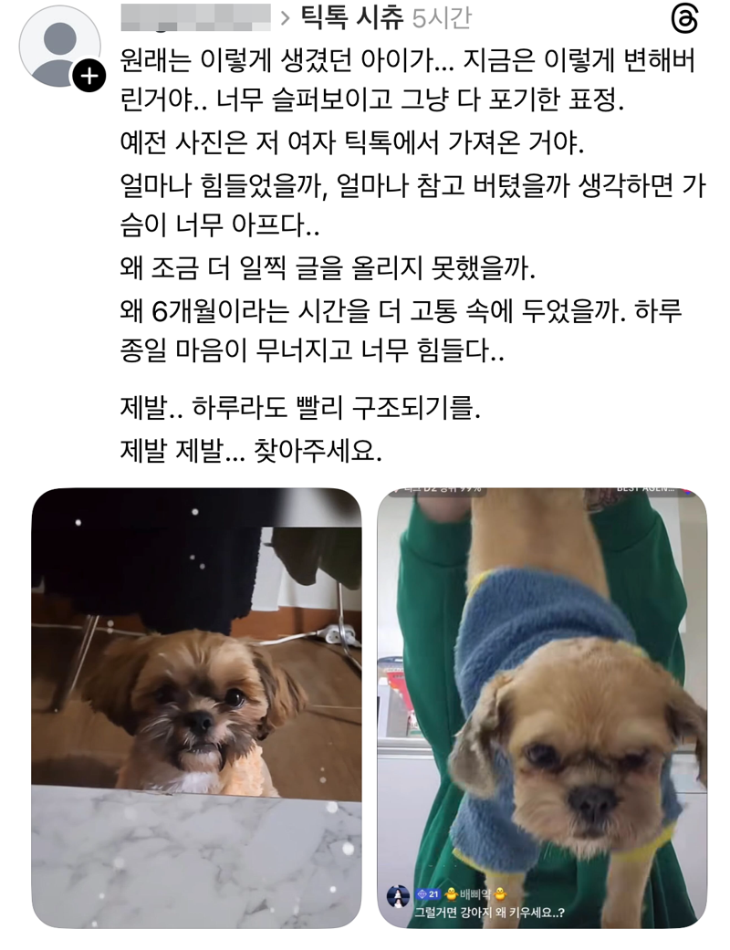 /사진=틱톡, 스레드