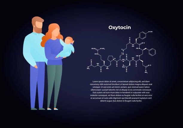 부부가 오래가려면? 옥시토신이 남성의 바람기 막는다 [안철우 교수의 호르몬 백과사전]