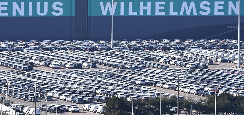 경기 평택항 자동차전용부두에 수출용 차량이 세워져 있는 모습. 뉴시스