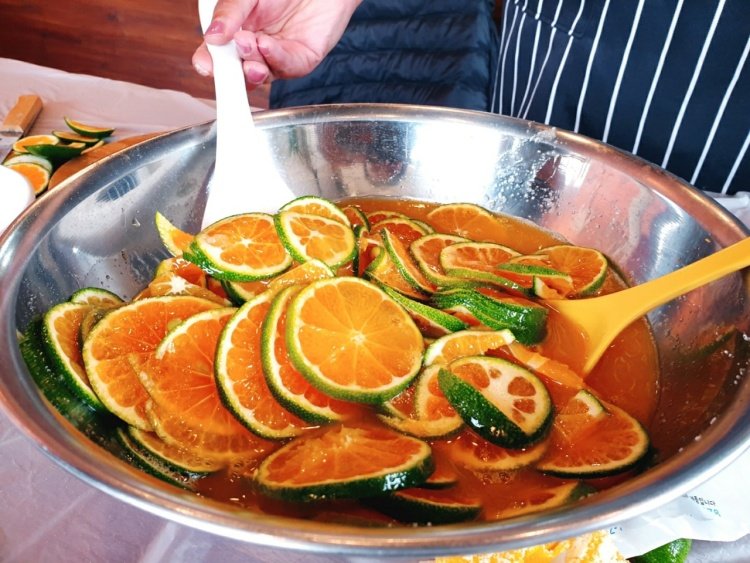 겨울 제주는 꽃들의 향연... 동백 물든 성산, 한라산은 눈꽃 만개 [Weekend 레저]