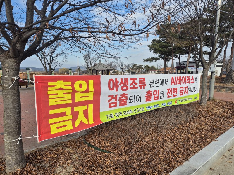 경북도는 22일 도내 첫 고병원성 조류인플루엔자(AI) H5N1형이 지난 17일 지산샛강에서 채취한 야생조류 폐사체(큰고니)에서 검출됨에 따라 차단방역 강화 태세를 유지하고 있다.(경북도 제공. 재판매 및 DB금지) ⓒ News1 김대벽기자