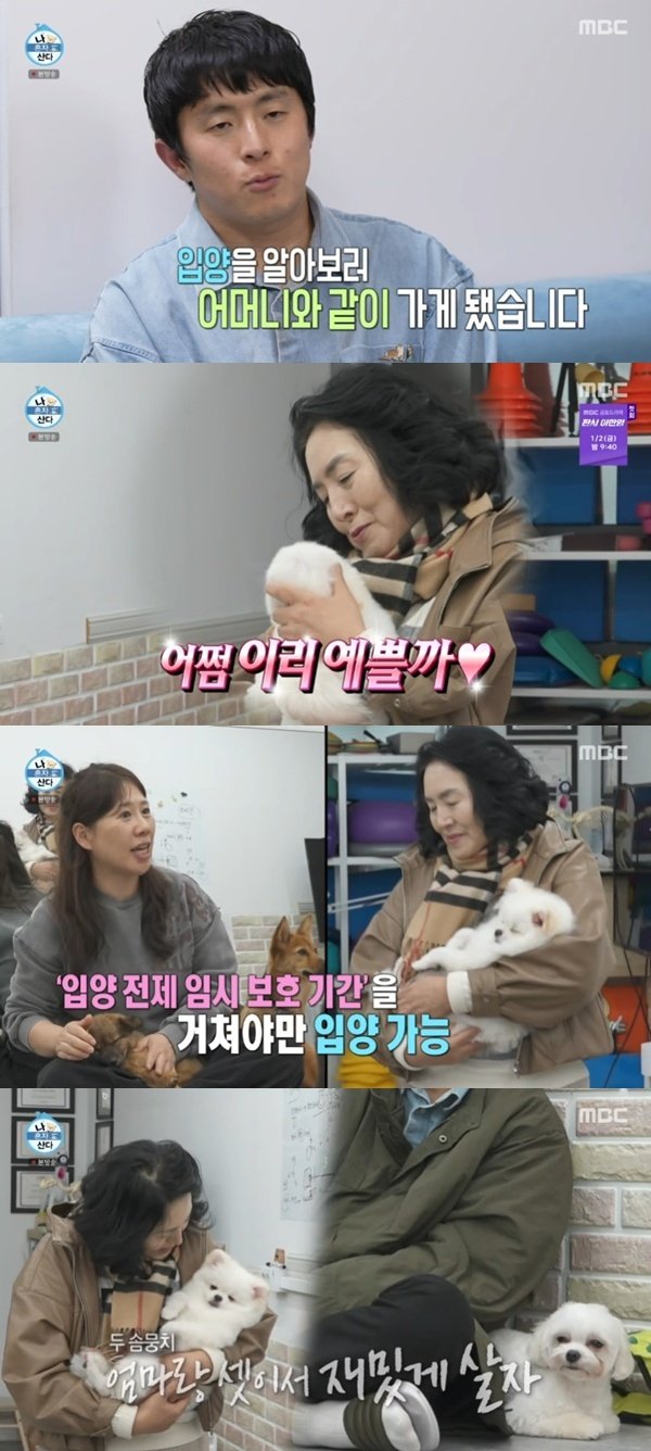 기안84, 어머니와 유기견 2마리 입양 결정…임시 보호부터