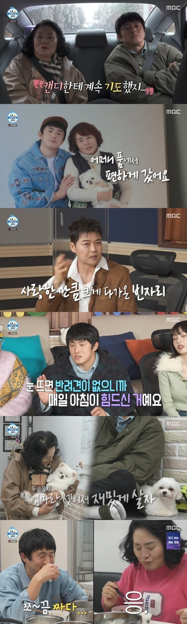 기안84 "母, 반려견 떠나고 힘들었다"→전현무, '펫로스 증후군' 공감