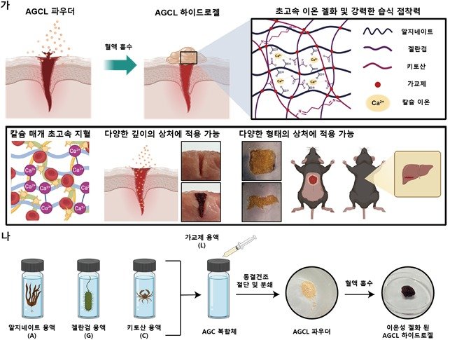 AGCL 파우더 개발 전략과 제작 개략도. KAIST 제공. /사진=뉴스1