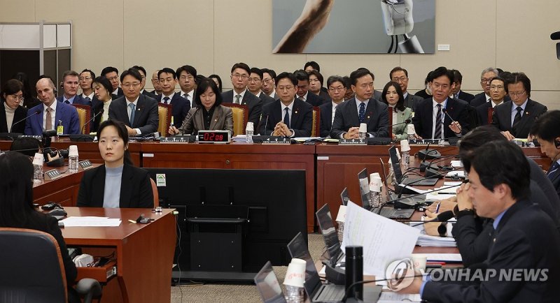 쿠팡 청문회 (출처=연합뉴스)