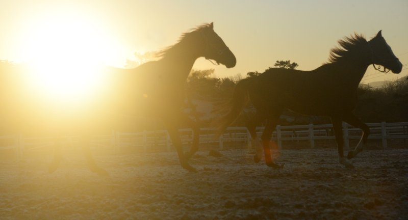 (출처=뉴시스/NEWSIS)