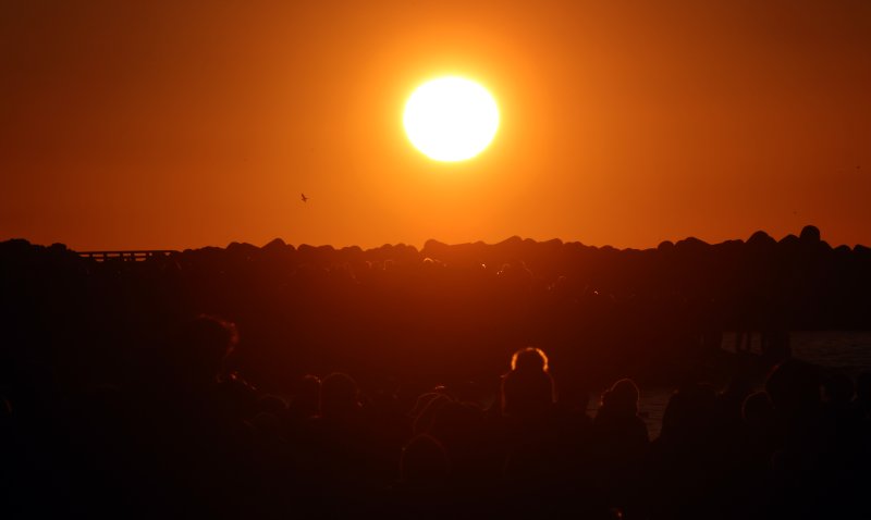 (출처=뉴시스/NEWSIS)