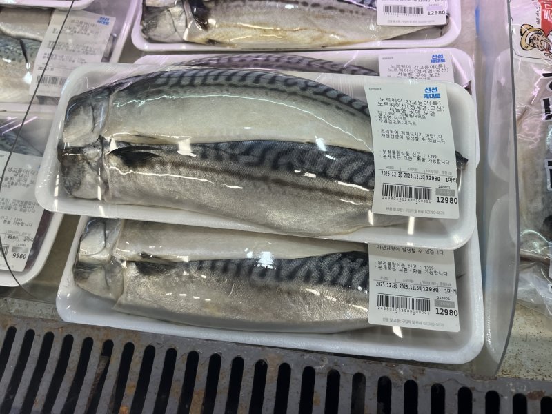 노르웨이산 고등어 (출처=연합뉴스)