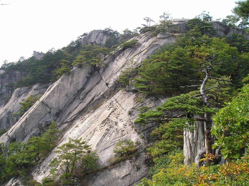 마역봉.(괴산군 제공. 재판매 및 DB금지)/뉴스1