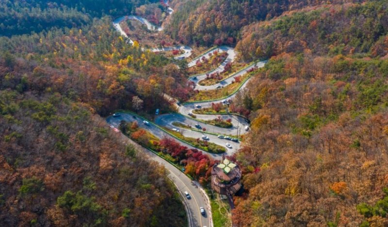 말티재.(보은군 제공. 재판매 및 DB금지)/뉴스1