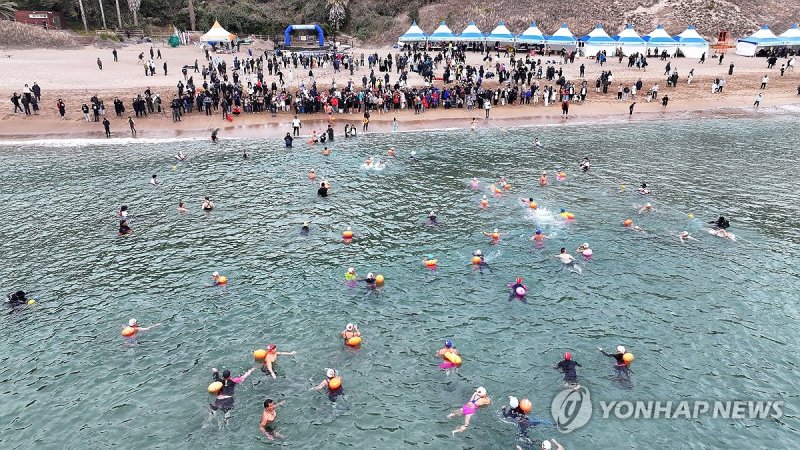 서귀포 겨울바다 국제펭귄수영대회 (출처=연합뉴스)