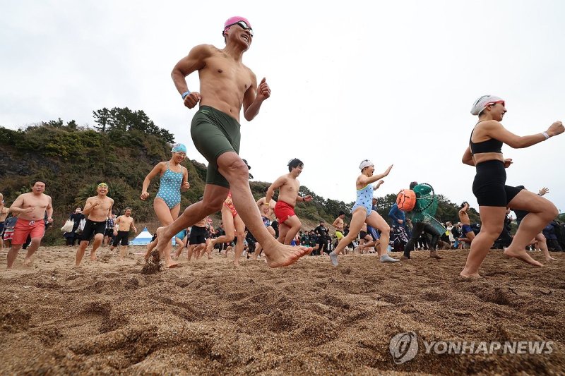 서귀포 겨울바다 국제펭귄수영대회 (출처=연합뉴스)