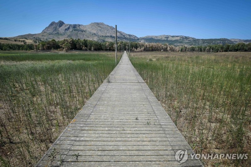 이탈리아 시칠리아섬의 가뭄 (출처=연합뉴스)