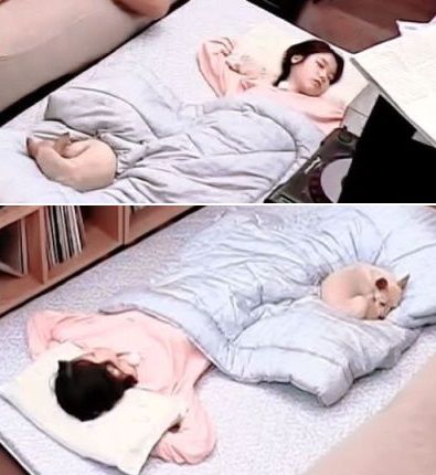 JTBC '효리네 민박' 방송 화면 캡처