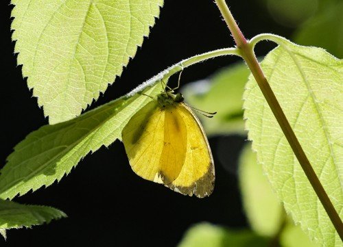 [걷고 싶은 길] '한국 속 독일'을 만나는 남해바래길 7코스 (출처=연합뉴스)