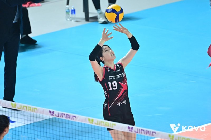 토스하는 정관장의 최서현 (출처=연합뉴스)