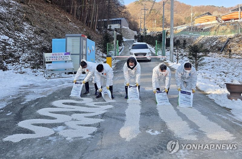 고병원성 AI 방역 나선 김병용 신임 강원농협 본부장 (출처=연합뉴스)