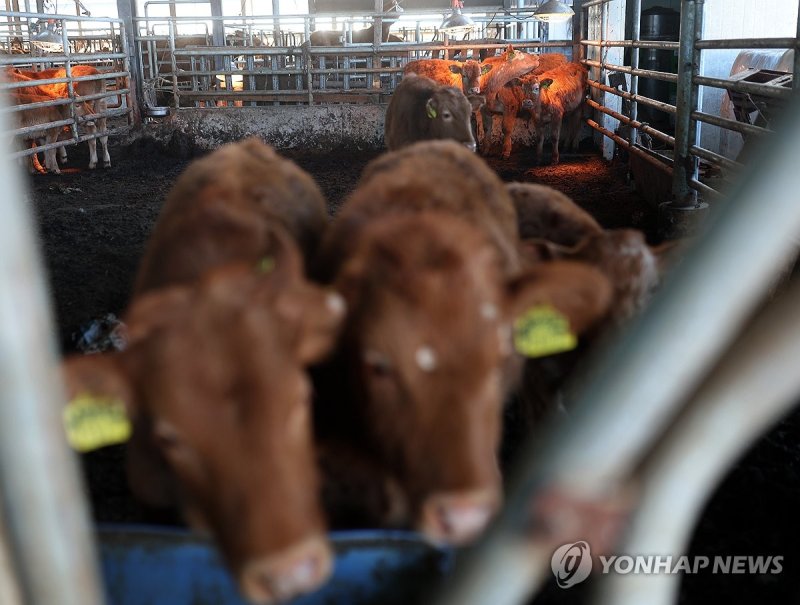 여기는 덜 춥소 (출처=연합뉴스)