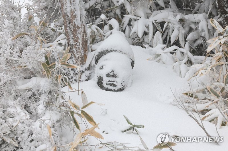 눈에 파묻힌 돌하르방 (출처=연합뉴스)
