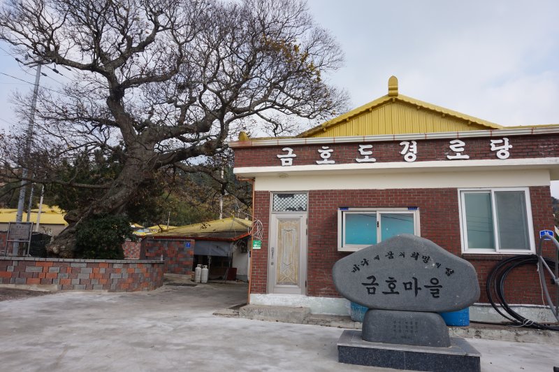 금호마을 경로당 옆에 보호수로 지정된 수령 400년의 팽나무가 마을의 역사를 지키고 있다. 2026.1.2뉴스1 ⓒ News1 조영석 기자