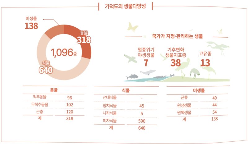 가덕도의 생물다양성 도표. 가덕도에는 총 1096종이 서식하고 있는 것으로 나타났다. (국립호남권생물자원관 제공. 재판매 및 DB금지)