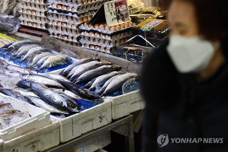 '국민생선' 고등어 수급 위기…올해 노르웨이산 공급 '반토막' (출처=연합뉴스)