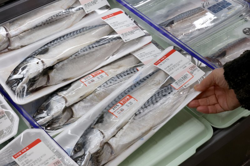 4일 서울 중구의 대형마트를 찾은 시민이 매대에 진열된 국내산과 노르웨이산 고등어를 살펴보고 있다. 2026.1.4/뉴스1 ⓒ News1 이광호 기자