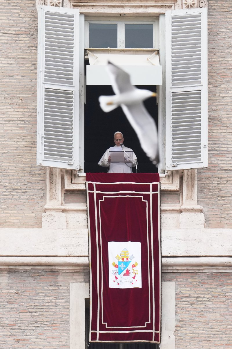 [바티칸=AP/뉴시스] 레오 14세 교황이 4일(현지 시간) 바티칸에서 주일 삼종기도를 하는 동안 갈매기가 교황이 서 있는 발코니 앞을 날아가고 있다. 2026.01.04.