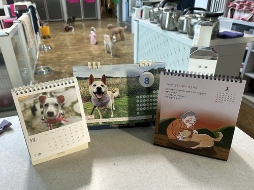 유기견 보호소 '유엄빠'의 2023(왼쪽부터)·2025·2026년 캘린더 (출처=연합뉴스)